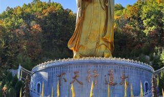 老君山的门票是多少 老君山风景区门票价格